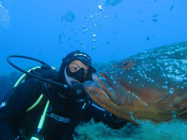 fauna marina